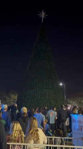 Surf City Christmas Tree Lighting | Katheryn Batts