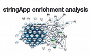 stringApp enrichment analysis: The GSEA functionality of Cytoscape stringApp