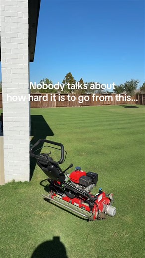 Transform Your Lawn for Spring: Tips and Tricks