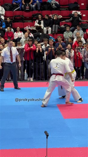22nd European Open Kyokushin Karate Championship: Highlights