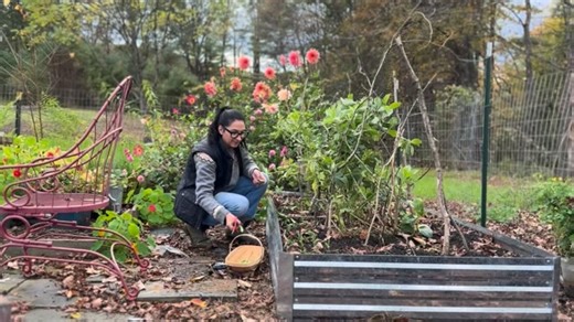 My Harvest Kitchen cookbook is out in the world and available anywhere you buy real life books! It’s more than recipes … I tell stories about growing food (disasters included!) and share my personal stories behind recipes. It’s a warm hug of a cookbook, from my kitchen to yours. #halfassedhomesteader #myharvestkitchen @countrymanpress | Gesine BP