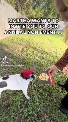NO BALLS BALL 2023! 🚘🛣 Can you guess what this years theme is? Comment below! ⬇️ Visit animalbirthcontrol.org/noballsball to see how YOU can be a part of our annual non-event! 🐱🐶 | Animal Birth Control Clinic