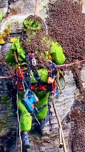 Video on how to remove bees . . . #beekeeping #amazing #life #lifestyle #bees #travel #love #beekeeper #bee #photooftheday #photography #fypシ゚ #instagood #reelsviralシ #honey #beekeepers #reelsfypシ #beautiful #beesofinstagram #picoftheday #nature #fashion #beeswax #happy #style #honeybees #savethebees #instadaily #honeybee #usa | Searching For Honey