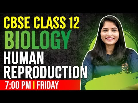 CBSE Class 12 Biology | Human Reproduction | Chapter 2 | Full Chapter Revision | Exam Winner +2