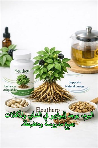 Herb #33 – Eleuthero | Siberian Ginseng & Traditional Resilience 🌿