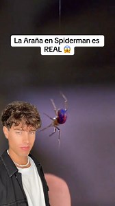 35K views · 715 reactions | La Araña de Spider-Man 1 era REAL  | Mike Fajardo 2 | Facebook