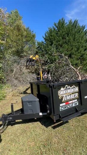 Spent the day cleaning up tree limbs and clearing the property. 🌳 | Smoky Mountain Timber