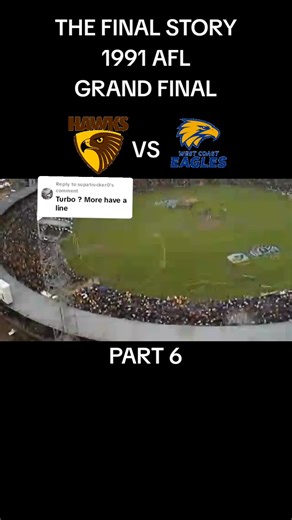 The Final Story: 1991 AFL Grand Final Insights