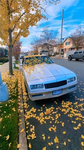 Amazing Chevrolet Monte Carlo 1985, #automobile #vintage #oldschool #classic #retrocars #usacars