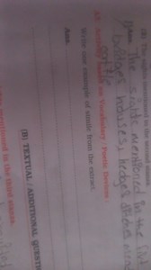 Question: Write one example of a simile from the extract.... | Filo