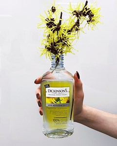 Our environmentally friendly distillation process ensures the purest quality witch hazel with the power to effectively cleanse, tone and refresh even the most sensitive skin! | Dickinson's® Original Witch Hazel | Facebook