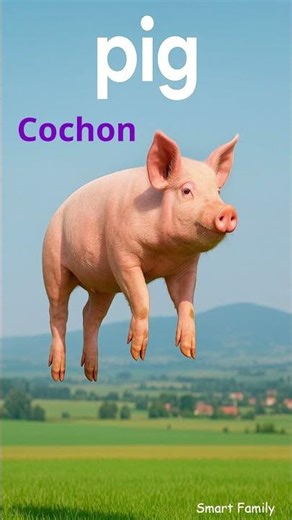 Farm and Small Animals in French! Learn Goat, Bee, Guinea Pig & More #shorts