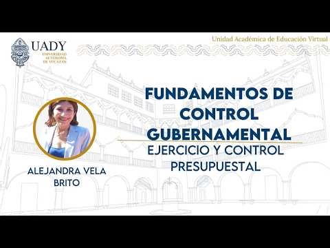 Fundamentos de Control Gubernamental