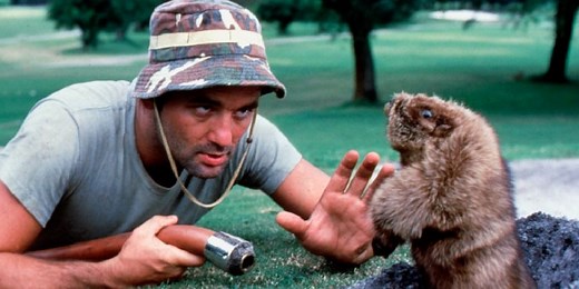 25 Caddyshack Quotes on Golf, Winning, and Competitiveness