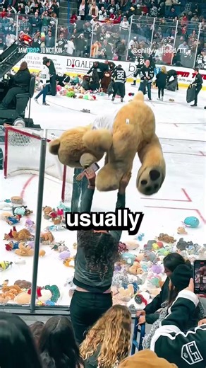 Thousands of Teddy Bears on Court