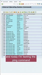 SAP Hack: OS commands without OS access 🛠️