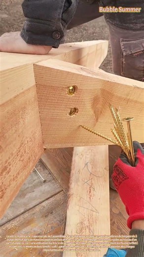 Fixation structurelle : fixation d'une charpente en bois à l'aide de vis à usage intensif