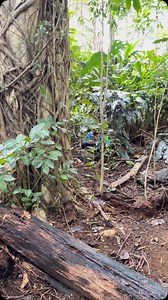 Search and rescue tracker training | Tactical Tracking School