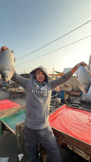 Amazing Big wholesale Fish Market in Delhi #shortvideo #streetfood #rrrm