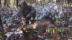 91K views · 2K reactions | Chris puts an Arrow through his Target Buck in the Snow. | Team Radical | Facebook