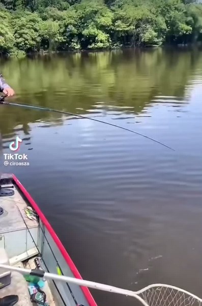 Sorte? Ela existe 🤣💥🎣 . . #tucunaré #tucunareamarelo #tucunare #tucunareacu #tucunareazul #pesquesolte #pescaria #pesca #pescaesportiva #pescariasesportivasbrasil #flyfishing #fishingdaily #fishing #fishinglifestyle #marinesports #daiwa #shimanofishing #fish #natureza #naturephotography #vidanaagua #pescador #🎣