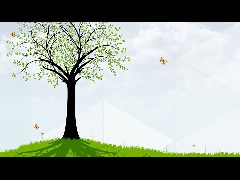 Tree Day - Behind the News