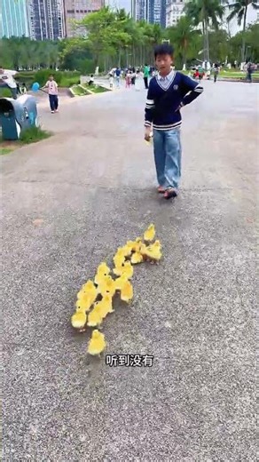 Cute Duck Chase: Kids' Adorable Pursuit Ends in a Scare