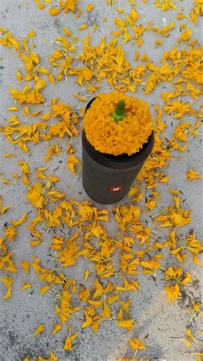 🔊 jbl Heavy Bass Test! 🔥Feel the vibration 😈💥Headphones recommended 🎧#BassTest #Shorts