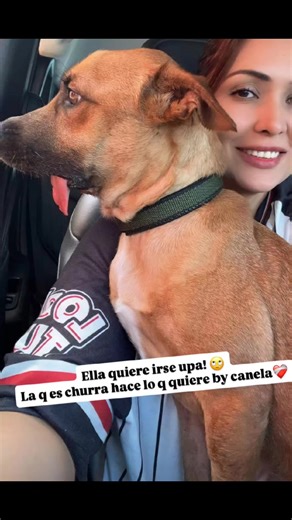 Videos de Carol Méndez (@mendezcaroli) con “Color Esperanza - Diego Torres”