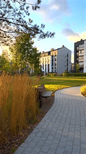 clip-3966527597-bench-garden-path-urban-spaces-ornamental-shrubs