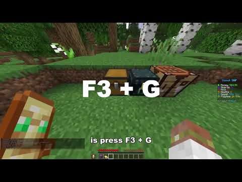 Minecraft Donut Smp dupe Universal 1.21 - 1.21.11