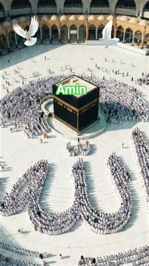 amin