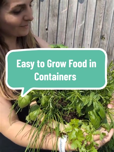 Easy Container Gardening: Grow Your Own Fruits and Vegetables