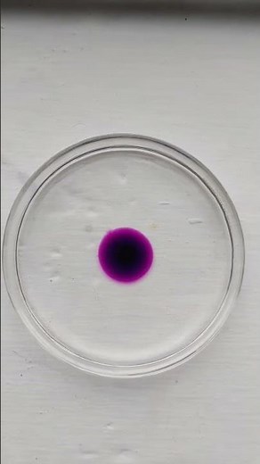 Diffusion of potassium permanganate #chemistry #class #experiment #practical #practicalchemistry