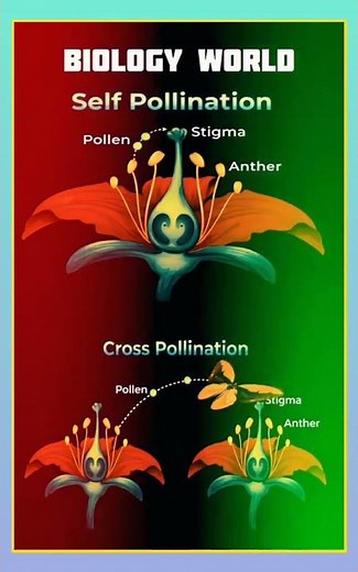 Self Pollination and Cross Pollination