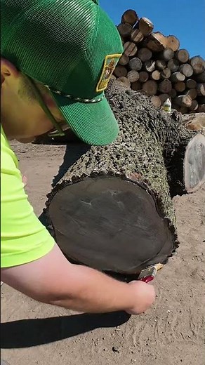 Protect Your Logs or Other Green Wood.
