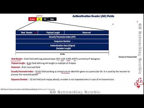 Fields in Authentication Header (AH) and Encapsulating Security Payload (ESP) Header