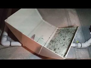 Bad Air quality in ductwork... Black mold in furnace humidifier from lack of maintenance