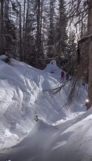 #fyp #foryoupage #snomobile