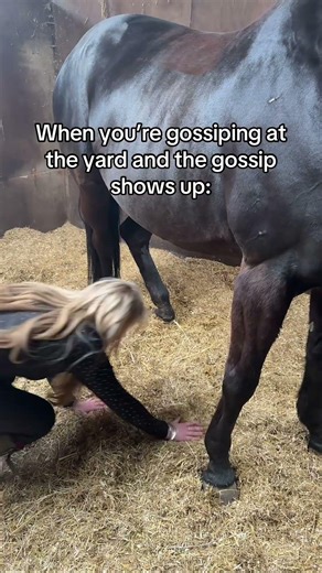 RUN #equestrian#horsegirl#funny#relatable#horse