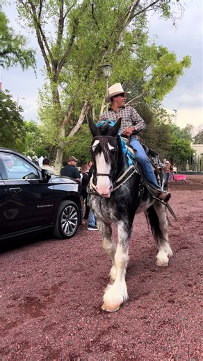 Videos de Alberto Camacho (@alberto.camacho822) con “sonido original - Juan Freer”