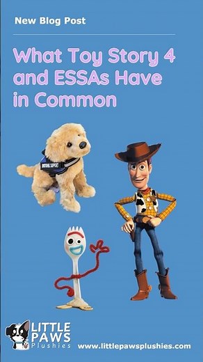 Remember the scene in Toy Story 4 where Bonnie isn't allowed to bring her toy to school? New blog up