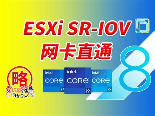[老高分享]ESXi下SRIOV网卡直通 附送Intel 12/13/14代CPU安装ESXi的方法 更合理更高效的网络拓扑结构分享