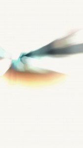 2025 BMW 530i, a mid-size luxury sedans for its high-end cabin and modern tech | Braman Motorcars