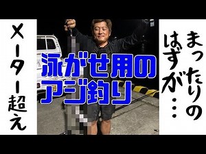 【福江島荒川堤防】泳がせ用の鯵をまったり釣るはずがメーター越えの黒いやつ！？〜五島列島〜46話
