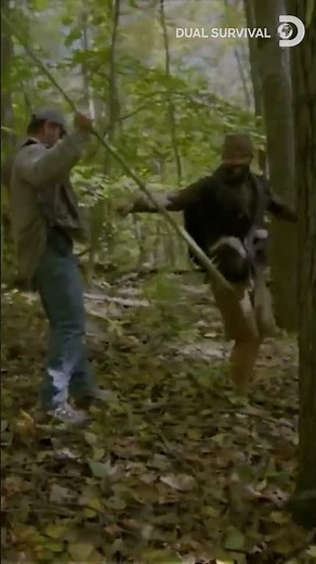Bear Wants Joe? | Dual Survival | Discovery Channel India