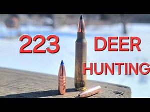 Is a 223 a good caliber for deer season?