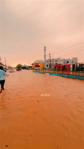 Galkacyo ALPHA: Photos and Views of Galkacyo, Galmudug