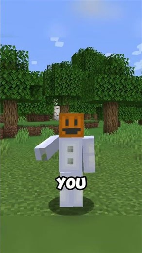 ADDING CUSTOM MOBS IN MINECRAFT!!