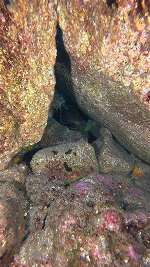 Mysterious Underwater Caves: Secrets of the Deep